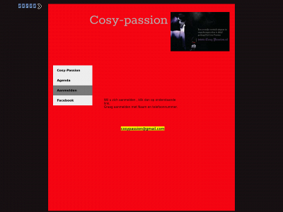 cosy-passion.nl snapshot