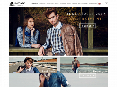 mecatotonelli.com snapshot