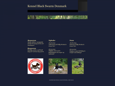 black-swarm.dk snapshot