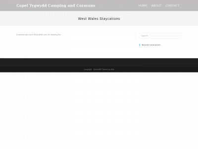 capeltygwyddcamping.com snapshot