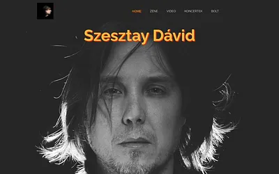 szesztaydavid.com snapshot