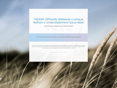 tiziany.com snapshot