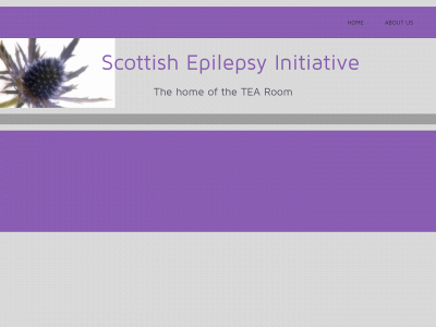 scottishepilepsyinitiative.co.uk snapshot