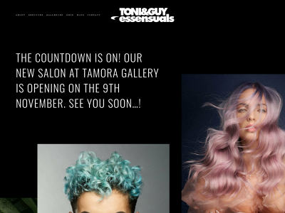 toniandguyessensualsbali.com snapshot