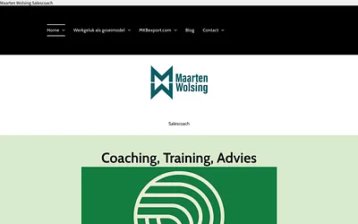 maartenwolsing.nl snapshot