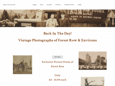forestrowbitday.weebly.com snapshot
