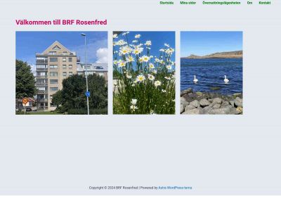brfrosenfred.se snapshot