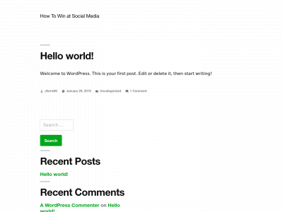 howtowinatsocialmedia.com snapshot
