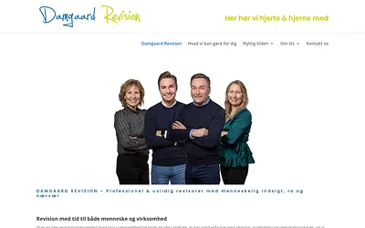 damgaardrevision.dk snapshot