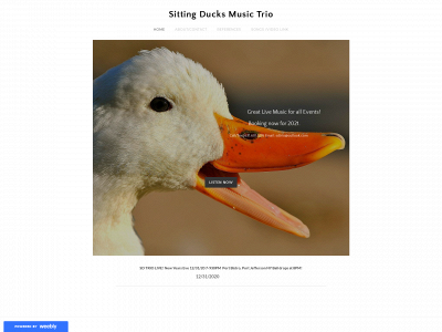 sittingduckstrio.weebly.com snapshot