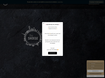 theshoege.com snapshot