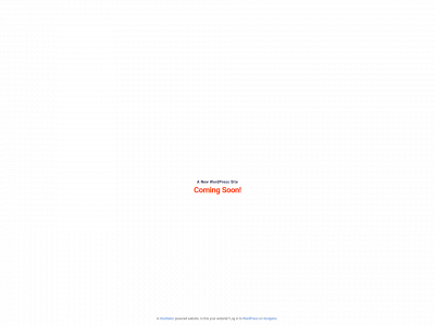nagimenterprises.com snapshot