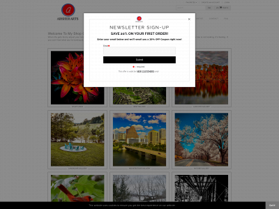absherarts.com snapshot
