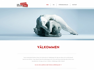 moderndance.se snapshot