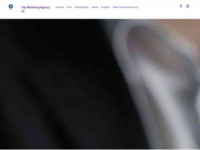topmarketingagency22.com snapshot