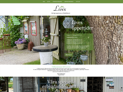 livex.se snapshot