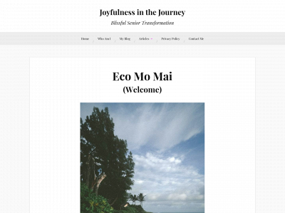 joyfulnessinthejourney.com snapshot