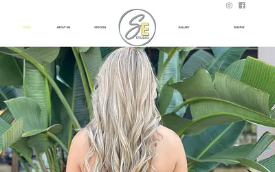 shanaelise.com snapshot