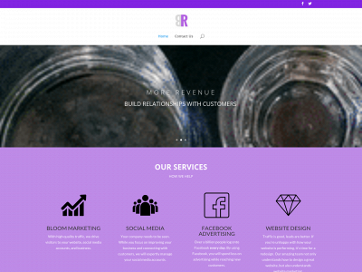 bloomingrevenue.com snapshot