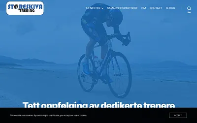 storeskiva.com snapshot