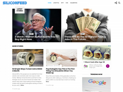 siliconfeed.com snapshot