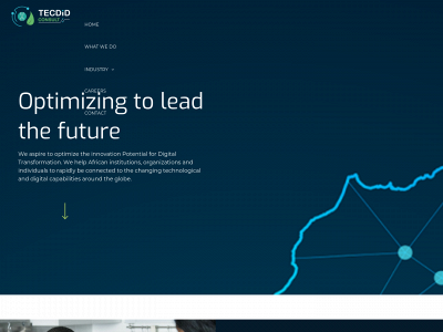 tecdidconsult.com snapshot