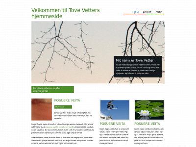 tovevetter.dk snapshot
