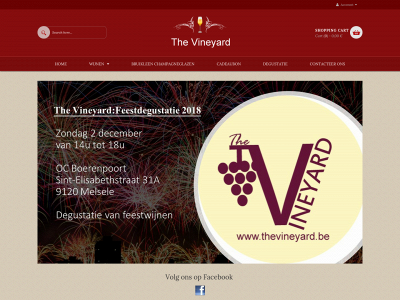thevineyard.be snapshot