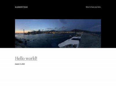 blueberrytrade.fi snapshot