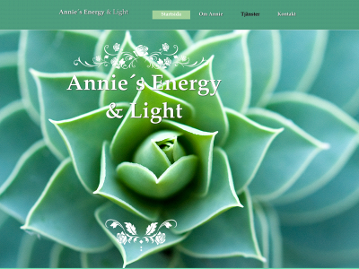 anniesenergi.com snapshot
