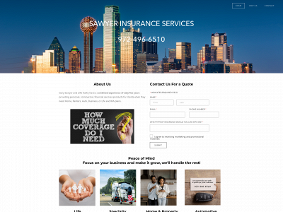 site-3115e1de1dda.mypreview.site snapshot