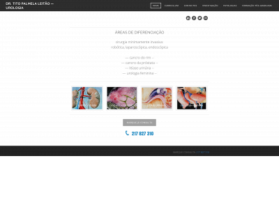 www.titopalmelaleitao.com snapshot