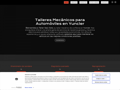 www.tallersaulsoto.com snapshot