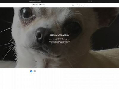 sakandashowkennels.com snapshot