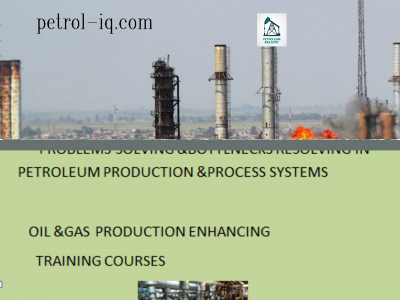 petrol-iq.com snapshot