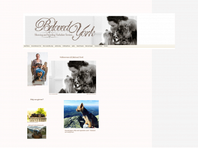 belovedyork.com snapshot