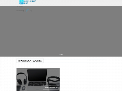 pixelpilotpro.com snapshot