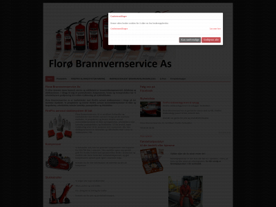 brannvernservice.com snapshot