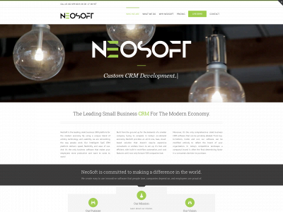 neosoftinc.com snapshot