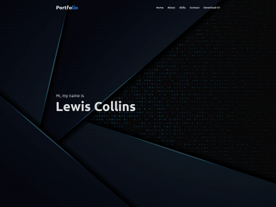 lewiscollins.co.uk snapshot