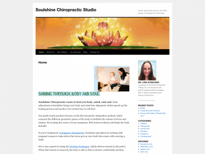 soulshinechiropractic.com snapshot