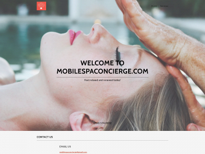 mobilespaconcierge.com snapshot