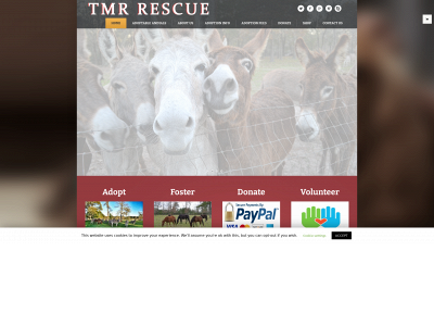 tmrrescue.site snapshot