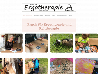 ergotherapie-reittherapie.com snapshot