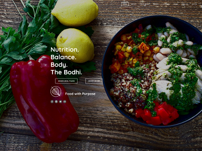 www.thebodhi.com snapshot