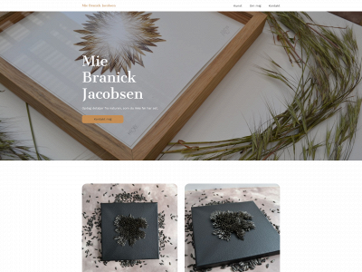 miebranickjacobsen.com snapshot
