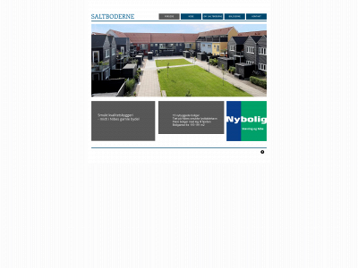 saltboderne.dk snapshot