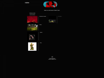n-lee.com snapshot