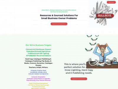 bmcimark.com snapshot