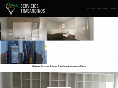 serviciostransandinos.com snapshot